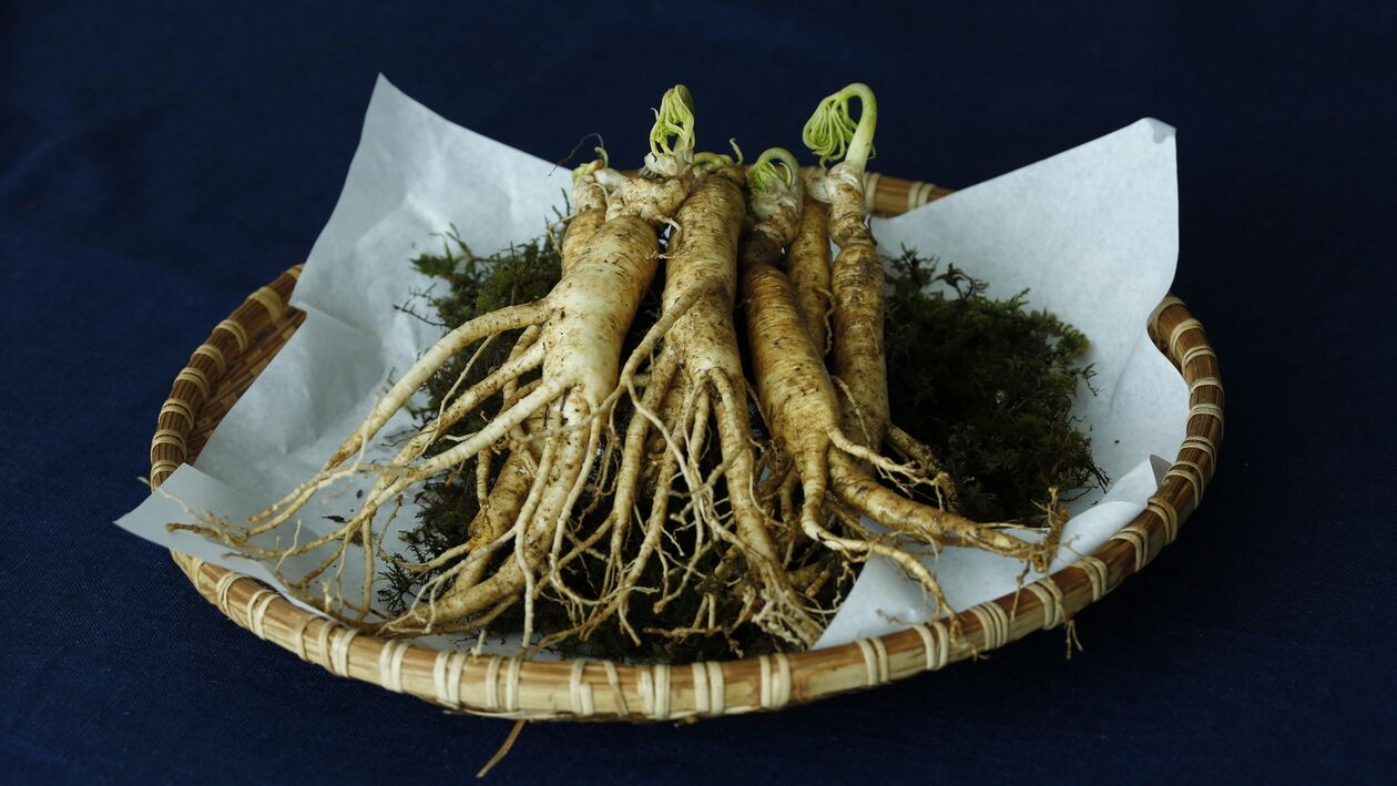 Ginseng Wuerzel fir d 