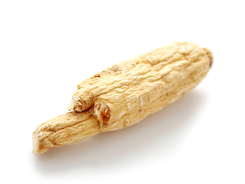 Aralia root fir d'Potenz