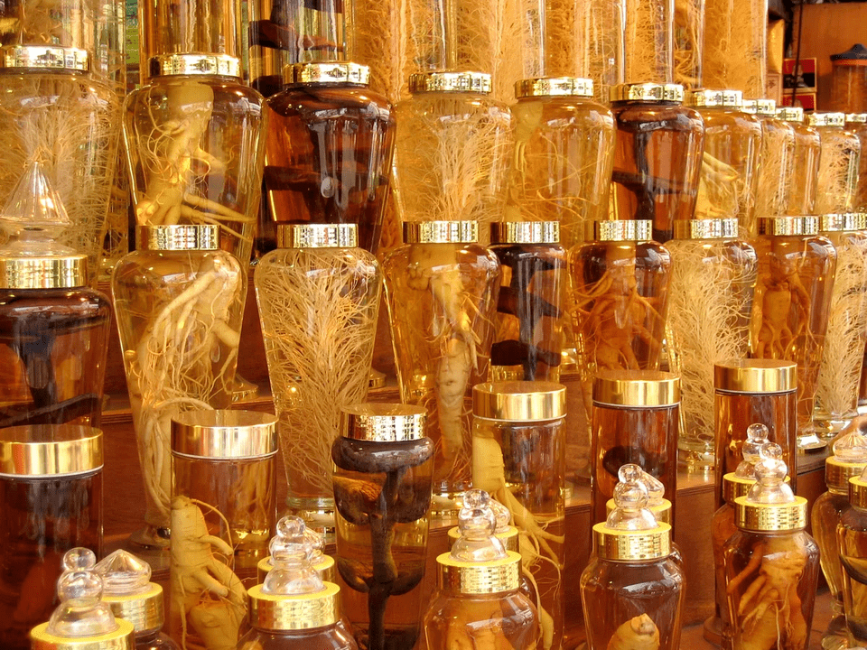 Ginseng Wuerzel fir d 